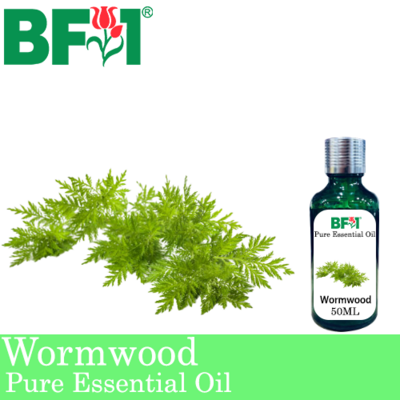 Pure Essential Oil (EO) - Wormwood Essential Oil - 50ml