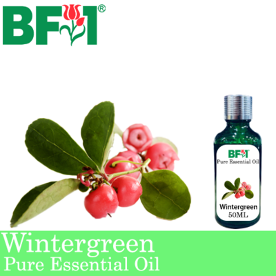 Pure Essential Oil (EO) - Wintergreen Essential Oil - 50ml