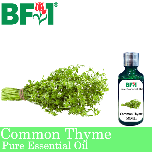 Pure Essential Oil (EO) - Thyme - Lemon Thyme Essential Oil - 50ml