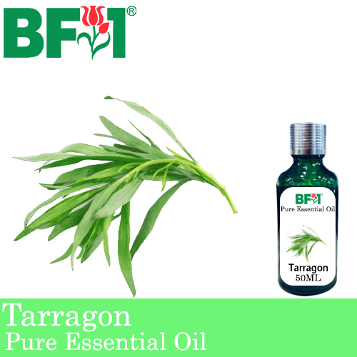 Pure Essential Oil (EO) - Tarragon Essential Oil - 50ml