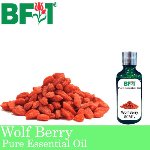Pure Essential Oil (EO) - Wolf Berry Essential Oil - 50ml