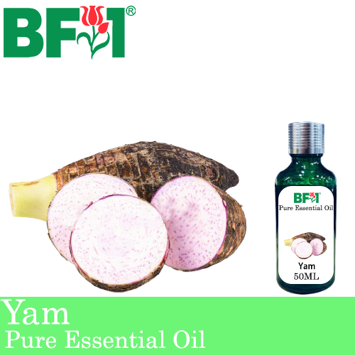 Pure Essential Oil (EO) - Yam Essential Oil - 50ml