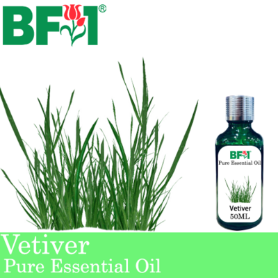 Pure Essential Oil (EO) - Vetiver Essential Oil - 50ml