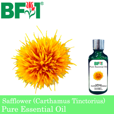 Pure Essential Oil (EO) - Safflower (Carthamus Tinctorius) Essential Oil - 50ml