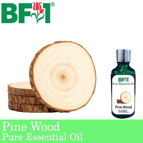 Pure Essential Oil (EO) - Pine - Pine Wood Essential Oil - 50ml