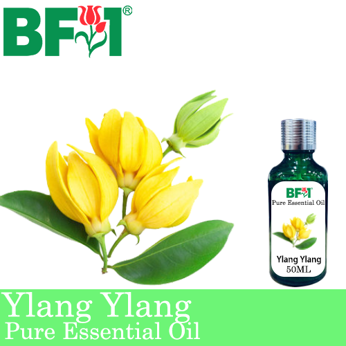Pure Essential Oil (EO) - Ylang Ylang Essential Oil - 50ml