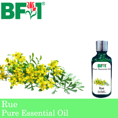 Pure Essential Oil (EO) - Rue ( Ruta Graveolens ) Essential Oil - 50ml