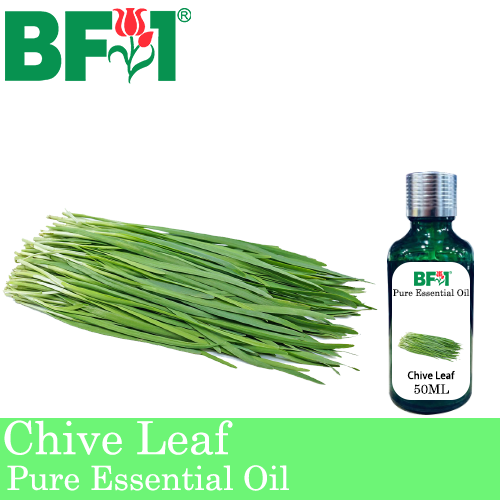 Pure Essential Oil (EO) - Chive Leaf ( Allium schoenoprasum L ) Essential Oil - 50ml