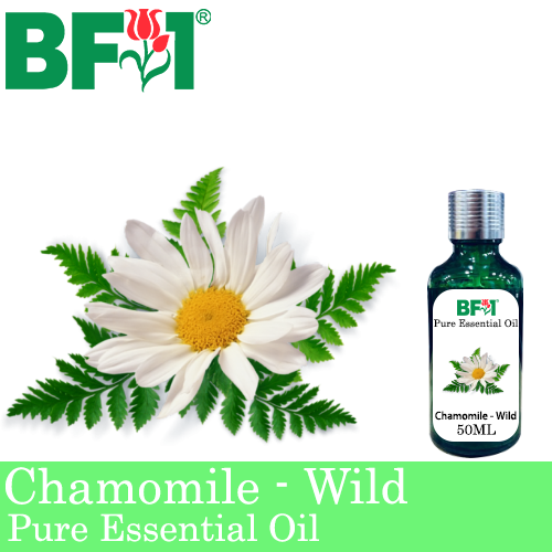 Pure Essential Oil (EO) - Chamomile - Wild Chamomile Essential Oil - 50ml