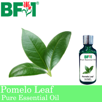 Pure Essential Oil (EO) - Pomelo Leaf Essential Oil - 50ml