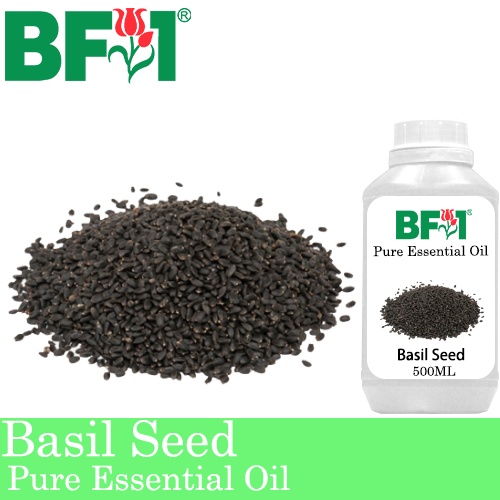 Pure Essential Oil (EO) - Basil Seed ( Ocimum Basilcum ) Essential Oil - 500ml