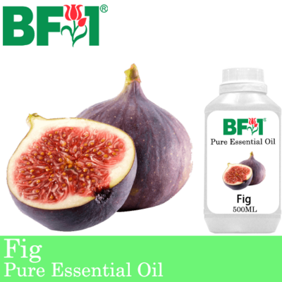 Pure Essential Oil (EO) - Fig Essential Oil - 500ml