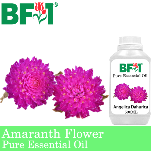 Pure Essential Oil (EO) - Amaranth Flower Essential Oil - 500ml