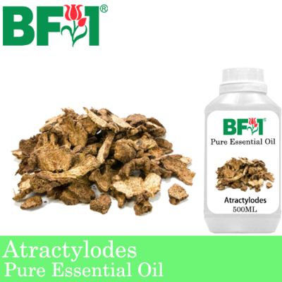 Pure Essential Oil (EO) - Atractylodes Essential Oil - 500ml