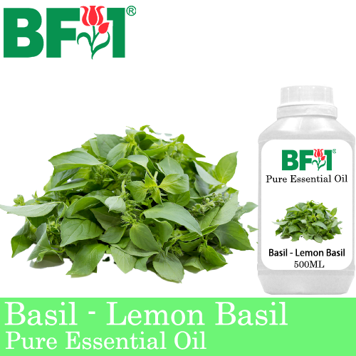 Pure Essential Oil (EO) - Basil - Lemon Basil ( Citriodorum Basil ) Essential Oil - 500ml