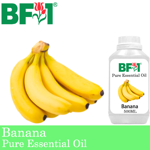 Pure Essential Oil (EO) - Banana Essential Oil - 500ml
