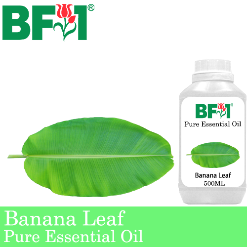 Pure Essential Oil (EO) - Banana Leaf Essential Oil - 500ml