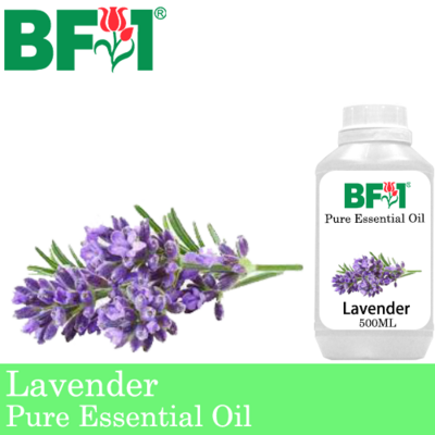 Pure Essential Oil (EO) - Lavender Essential Oil - 500ml