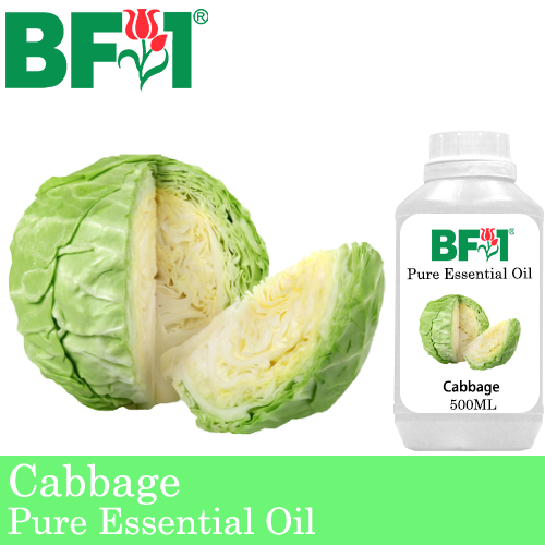 Pure Essential Oil (EO) - Cabbage Essential Oil - 500ml