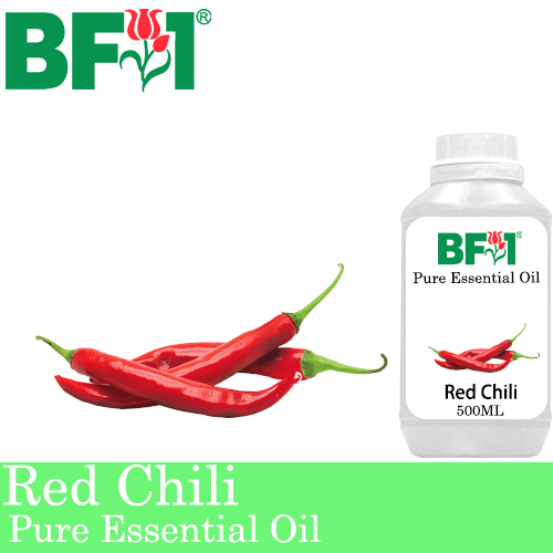 Pure Essential Oil (EO) - Chili - Red Chili Essential Oil - 500ml