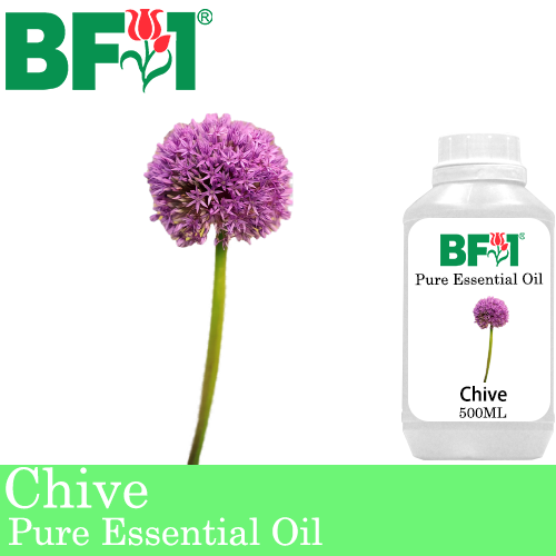 Pure Essential Oil (EO) - Chive ( Allium schoenoprasum L ) Essential Oil - 500ml