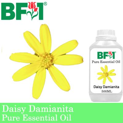 Pure Essential Oil (EO) - Daisy Damianita ( Chrysactinia Mexicana ) Essential Oil - 500ml