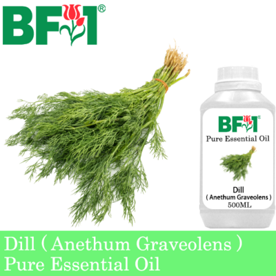 Pure Essential Oil (EO) - Dill ( Anethum Graveolens ) Essential Oil - 500ml