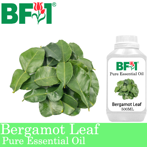 Pure Essential Oil (EO) - Bergamot Leaf Essential Oil - 500ml