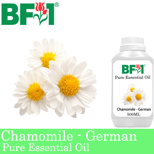 Pure Essential Oil (EO) - Chamomile - German Chamomile Essential Oil - 500ml