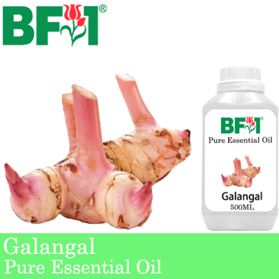 Pure Essential Oil (EO) - Galangal Essential Oil - 500ml