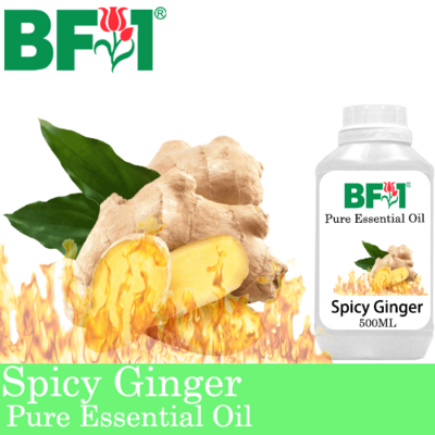 Pure Essential Oil (EO) - Ginger - Spicy Ginger Essential Oil - 500ml