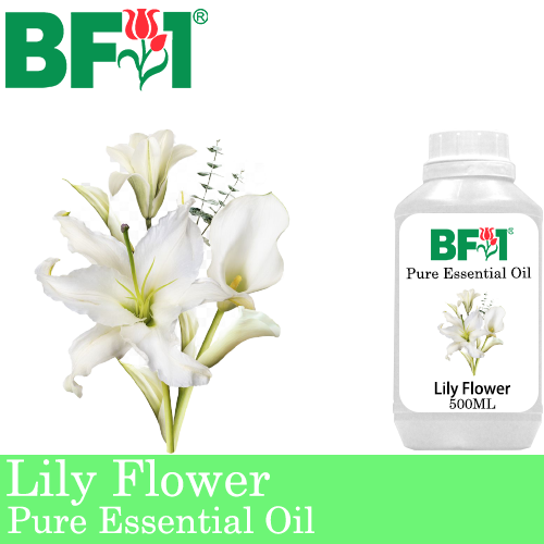 Pure Essential Oil (EO) - Lily Flower Essential Oil - 500ml
