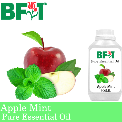 Pure Essential Oil (EO) - Mint - Apple Mint ( Mentha Suaveolens ) Essential Oil - 500ml