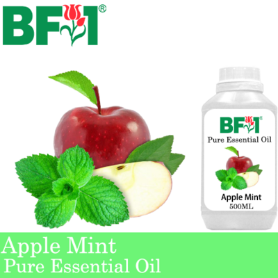 Pure Essential Oil (EO) - Mint - Apple Mint ( Mentha Suaveolens ) Essential Oil - 500ml