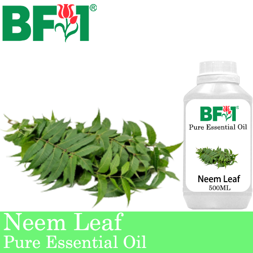 Pure Essential Oil (EO) - Neem Leaf Essential Oil - 500ml