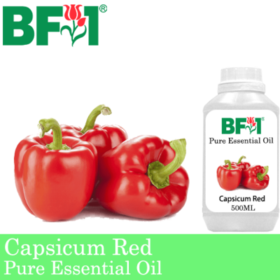 Pure Essential Oil (EO) - Capsicum Red Essential Oil - 500ml