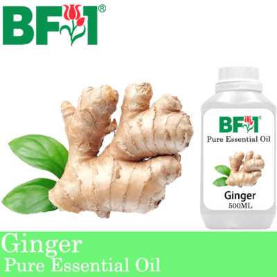 Pure Essential Oil (EO) - Ginger Essential Oil - 500ml