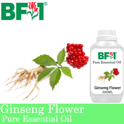 Pure Essential Oil (EO) - Ginseng Flower Essential Oil - 500ml