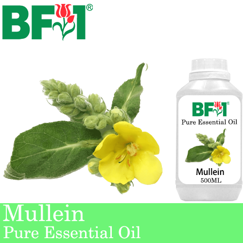 Pure Essential Oil (EO) - Mullein Essential Oil - 500ml