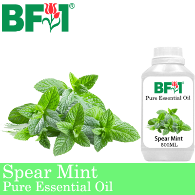 Pure Essential Oil (EO) - Mint - Spear Mint Essential Oil - 500ml
