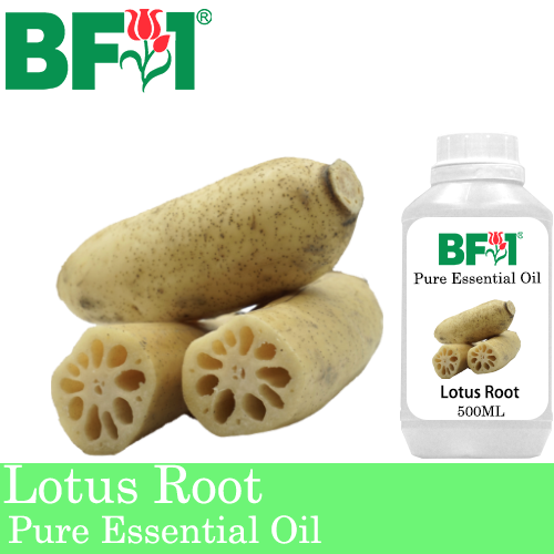 Pure Essential Oil (EO) - Lotus Root Essential Oil - 500ml