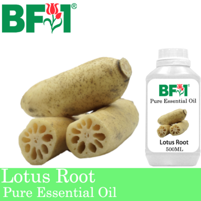 Pure Essential Oil (EO) - Lotus Root Essential Oil - 500ml