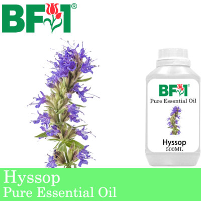 Pure Essential Oil (EO) - Hyssop Essential Oil - 500ml