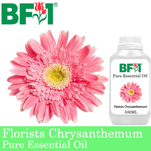 Pure Essential Oil (EO) - Chrysanthemum - Florists Chrysanthemum Essential Oil - 500ml