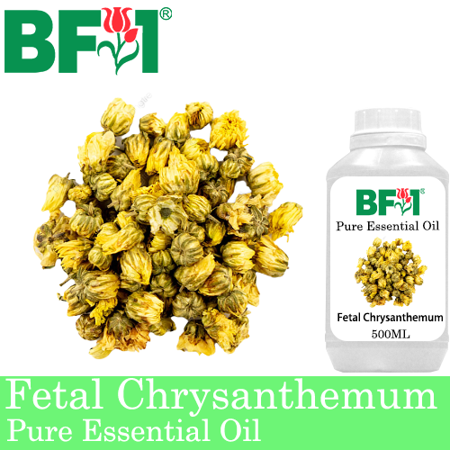 Pure Essential Oil (EO) - Fetal Chrysanthemum Essential Oil - 500ml