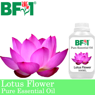 Pure Essential Oil (EO) - Lotus Flower Essential Oil - 500ml