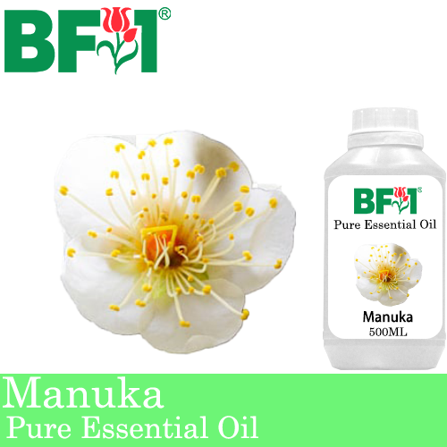 Pure Essential Oil (EO) - Manuka Essential Oil - 500ml