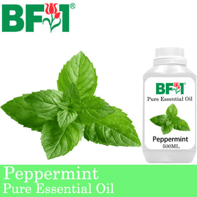 Pure Essential Oil (EO) - Mint - Peppermint ( Mentha Piperita ) Essential Oil - 500ml
