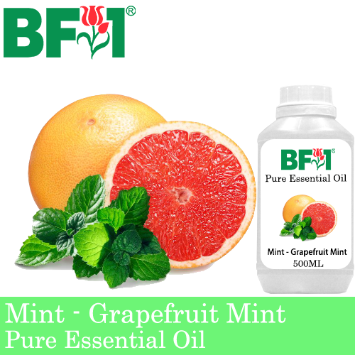 Pure Essential Oil (EO) - Mint - Grapefruit Mint ( Mentha Piperita ) Essential Oil - 500ml