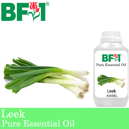 Pure Essential Oil (EO) - Leek Essential Oil - 500ml